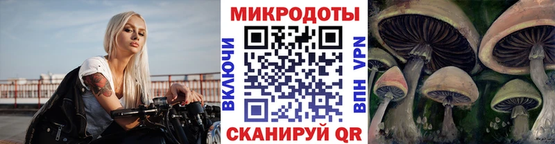 Псилоцибиновые грибы Psilocybe  как найти закладки  Краснокаменск 
